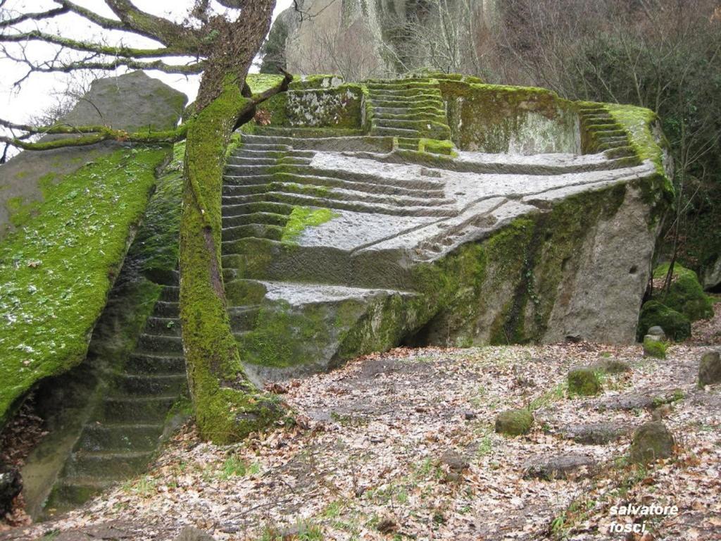 Agriturismo Le Querce Bomarzo Eksteriør billede