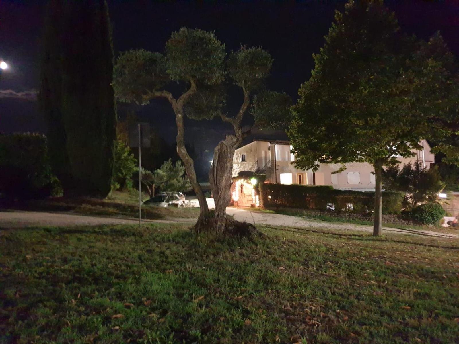 Agriturismo Le Querce Bomarzo Eksteriør billede