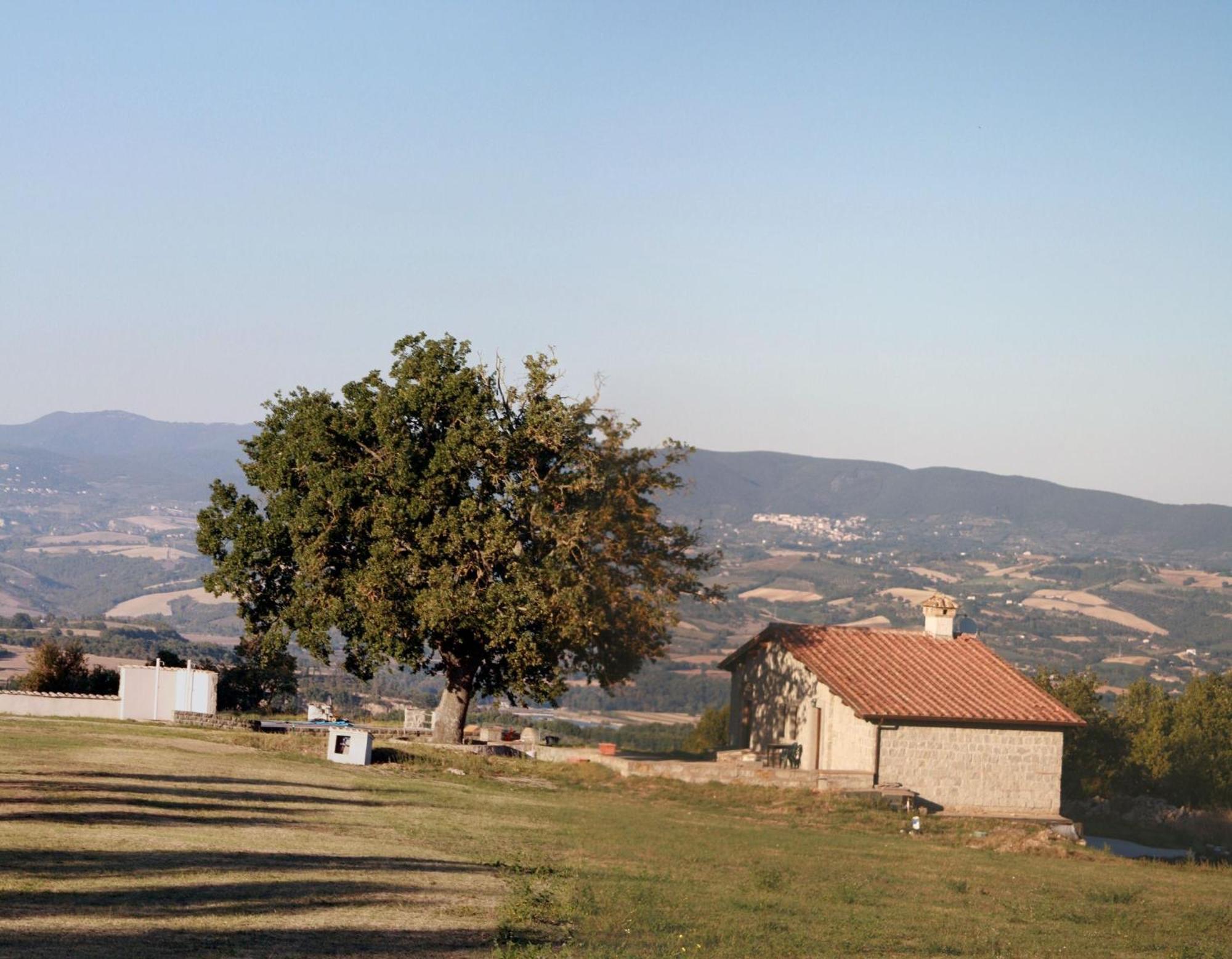 Agriturismo Le Querce Bomarzo Eksteriør billede